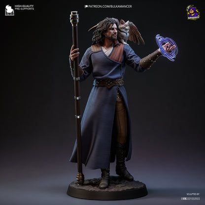 Gale - Baldur's Gate 3