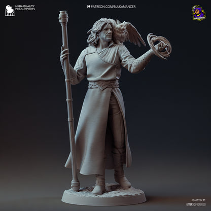 Gale - Baldur's Gate 3