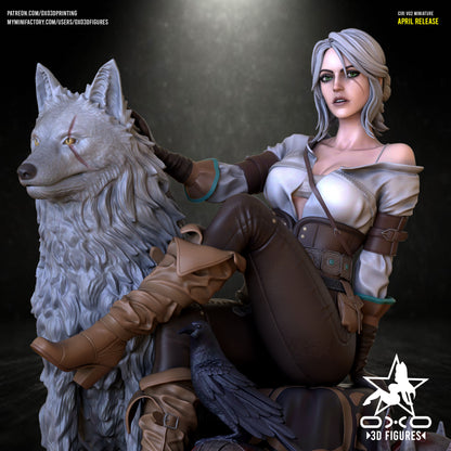 Ciri - The Witcher