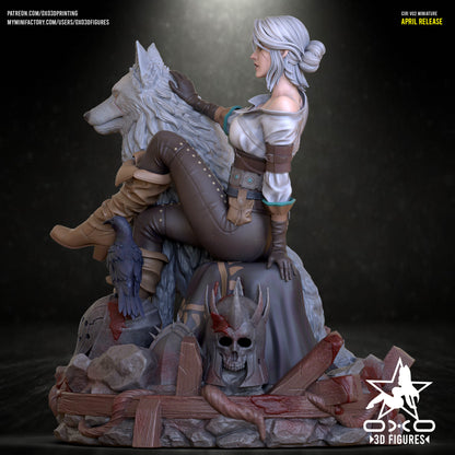 Ciri - The Witcher