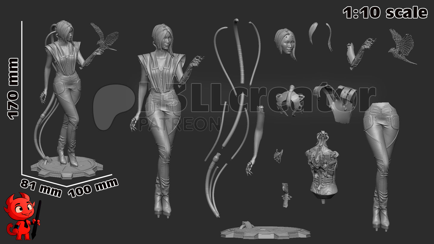 Songbird - Cyberpunk 2077