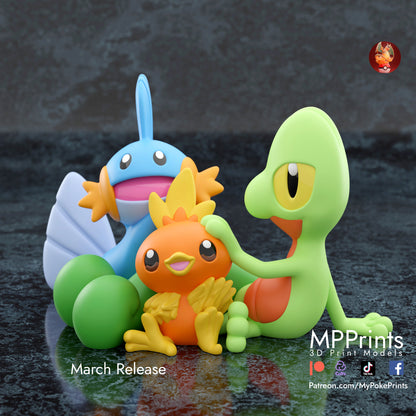 Gen 3 Starters Diorama