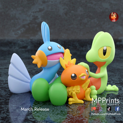 Gen 3 Starters Diorama