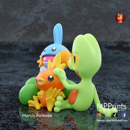 Gen 3 Starters Diorama